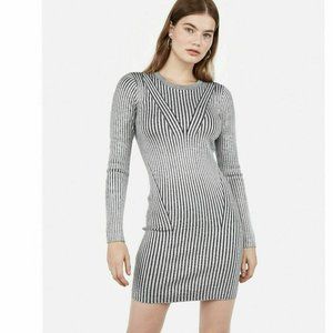 Express Bodycon Dress 